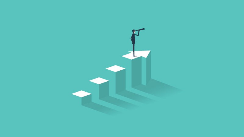 Vision des SMHS Vision des SMHS